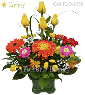 Modelo Enjoy your day