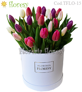 Box cilindrico con 20 tulipanes