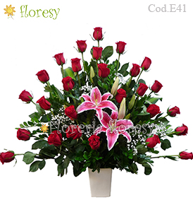 Hollywood 24 rosas