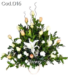 Modelo de condolencias