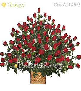 Maximo Amor - 72 rosas