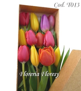 12 tulips in a box
