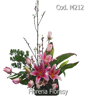Modelo Malawi