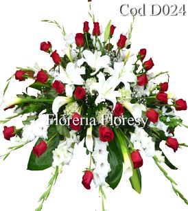 Manto D024