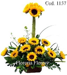 Modelo Girasoles Garden