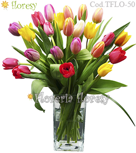 Modelo Paris - 25 Tulipanes