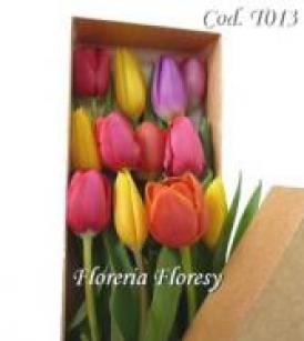 Caja con 12 tulipanes