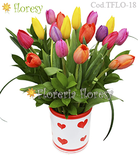 Full of Love 18 Tulipanes