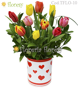 Modelo Full of Love - 10 tulipanes