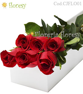 Caja con 6 rosas