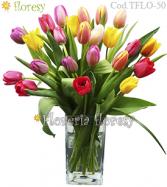 Más información de Modelo Paris - 25 Tulipanes