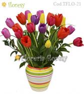 Más información de Modelo Paraiso de Color - 21 Tulipanes