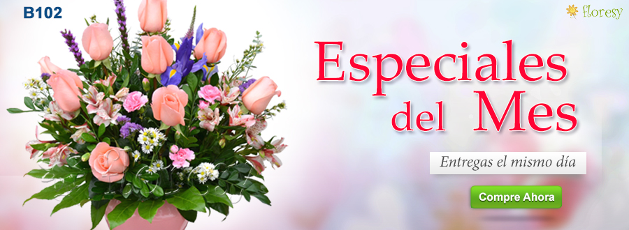 Ofertas del mes en flores Peru